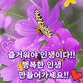 '굿모닝이제는 장마가' 글에 포함된 이미지