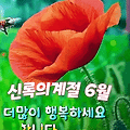'굿오닝오월 마지막날' 글에 포함된 이미지