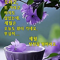 '짙어가는 신록 사이로' 글에 포함된 이미지