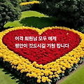 '서리가 내린다는 상강' 글에 포함된 이미지