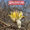 '행복한  나날을 보내' 글에 포함된 이미지