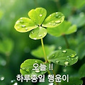 '즐거운 주말 아치입니' 글에 포함된 이미지