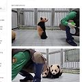 '출첵!' 글에 포함된 이미지