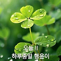 '오늘도 하루종일 행운' 글에 포함된 이미지