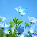 '반가워요~ 방긋' 글에 포함된 이미지