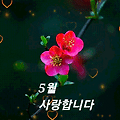 '어버이 날 이면서 월' 글에 포함된 이미지