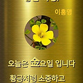 '10월25일 불타는 금요' 글에 포함된 이미지