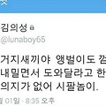 댓글 첨부 이미지