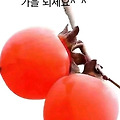 '오늘 하루도 상큼한 ' 글에 포함된 이미지