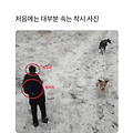 댓글 첨부 이미지