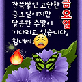 '해피모닝한주간 애많' 글에 포함된 이미지