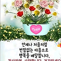댓글 첨부 이미지