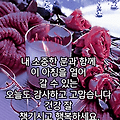 댓글 첨부 이미지