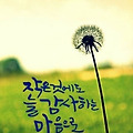 댓글 첨부 이미지