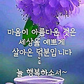 댓글 첨부 이미지