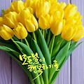 댓글 첨부 이미지