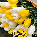댓글 첨부 이미지