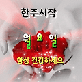 댓글 첨부 이미지