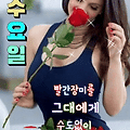 댓글 첨부 이미지