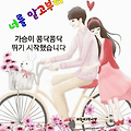 댓글 첨부 이미지
