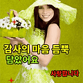 댓글 첨부 이미지