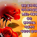 댓글 첨부 이미지