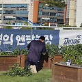 댓글 첨부 이미지