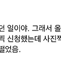 댓글 첨부 이미지