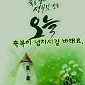댓글 첨부 이미지