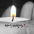 댓글 첨부 이미지