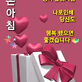 댓글 첨부 이미지