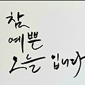 댓글 첨부 이미지