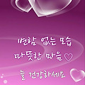 댓글 첨부 이미지