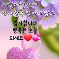 댓글 첨부 이미지