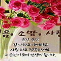 댓글 첨부 이미지