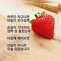 댓글 첨부 이미지
