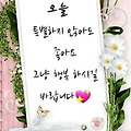 댓글 첨부 이미지