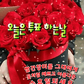 댓글 첨부 이미지