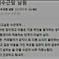 댓글 첨부 이미지