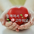 댓글 첨부 이미지