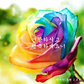 댓글 첨부 이미지