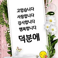 댓글 첨부 이미지
