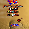 댓글 첨부 이미지