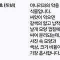 댓글 첨부 이미지