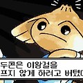 댓글 첨부 이미지