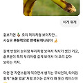 댓글 첨부 이미지
