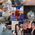 댓글 첨부 이미지