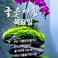 댓글 첨부 이미지