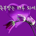 댓글 첨부 이미지