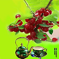 댓글 첨부 이미지